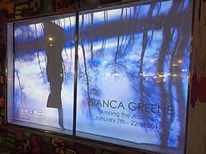 Among the Aspens, Video Installation by bianca greene