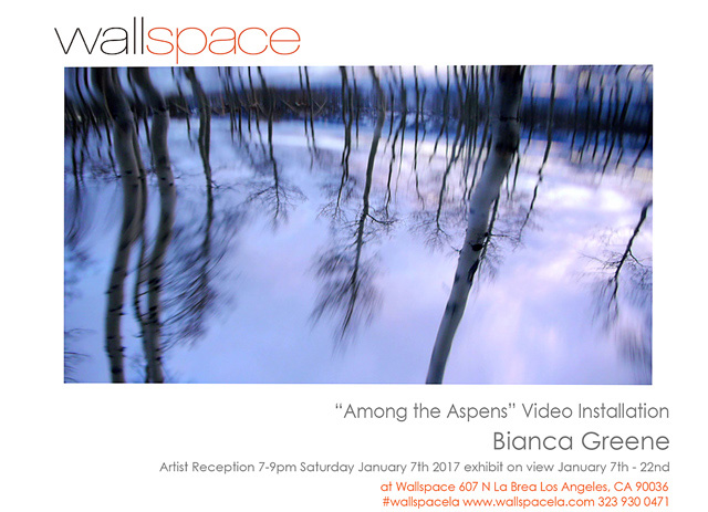 Video installation 'Among the Aspens' by Bianca Greene, January 7th to 22nd 2017