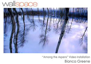 Among the Aspens, Video Installation by Bianca Greene