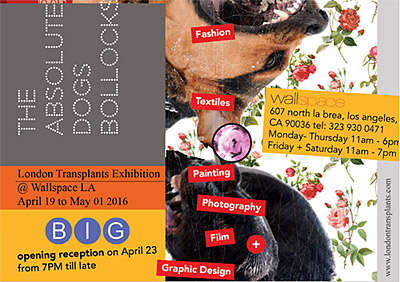 'The Absolute Dogs Bollocks' - london transplants exhibition 2016