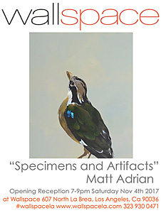 'Specimens and Artifacts' - a solo show by Matt Adrian, November 2017