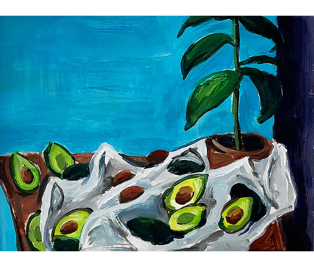 Avocado Still Life