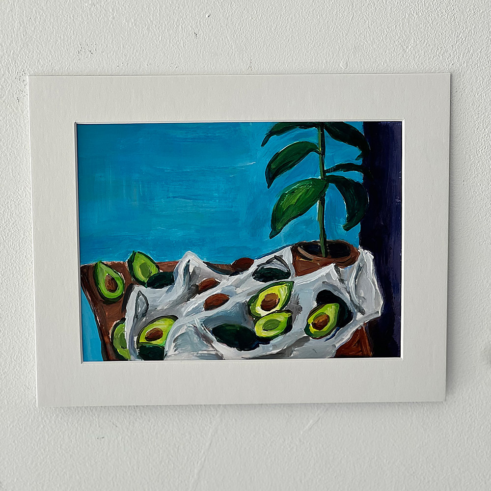 Avocado Still Life