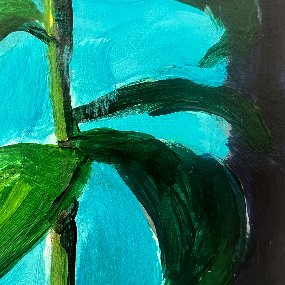 Avocado Still Life