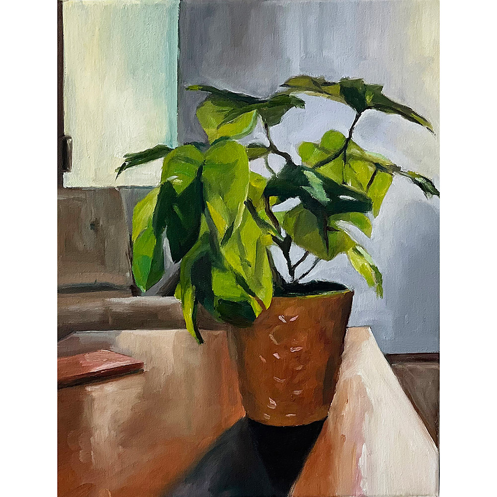 Plastic House Plant