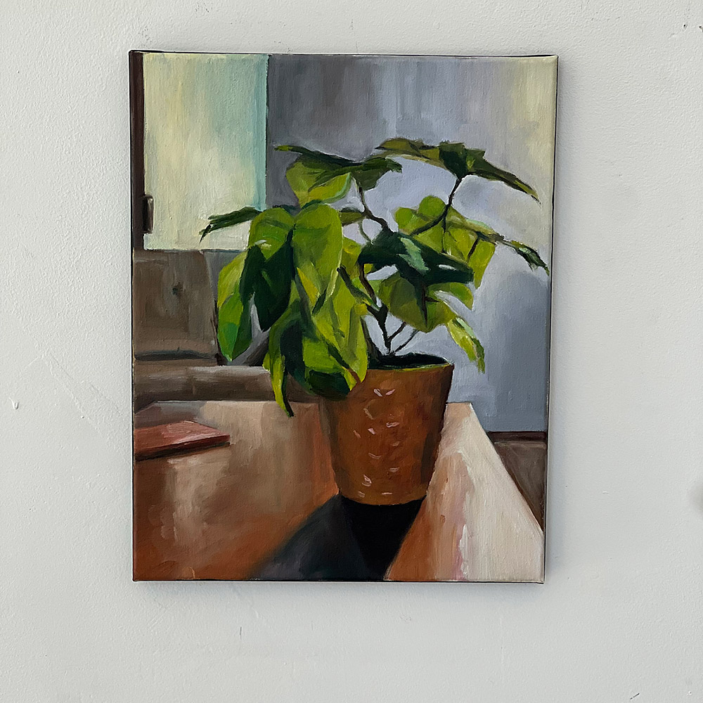 Plastic House Plant