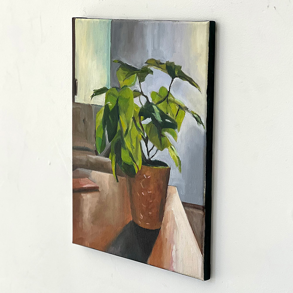 Plastic House Plant