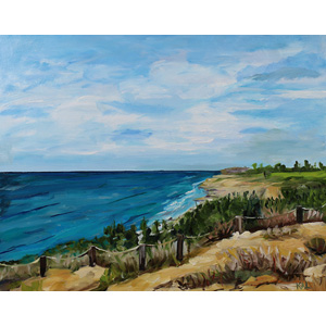 Black's Beach San Diego (Kory Alexander)