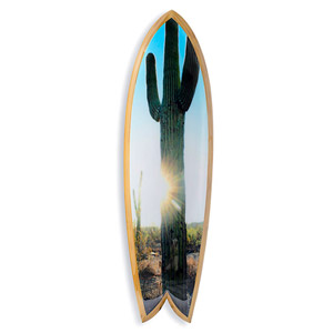Cactus Sun (Bobbi Bennett)