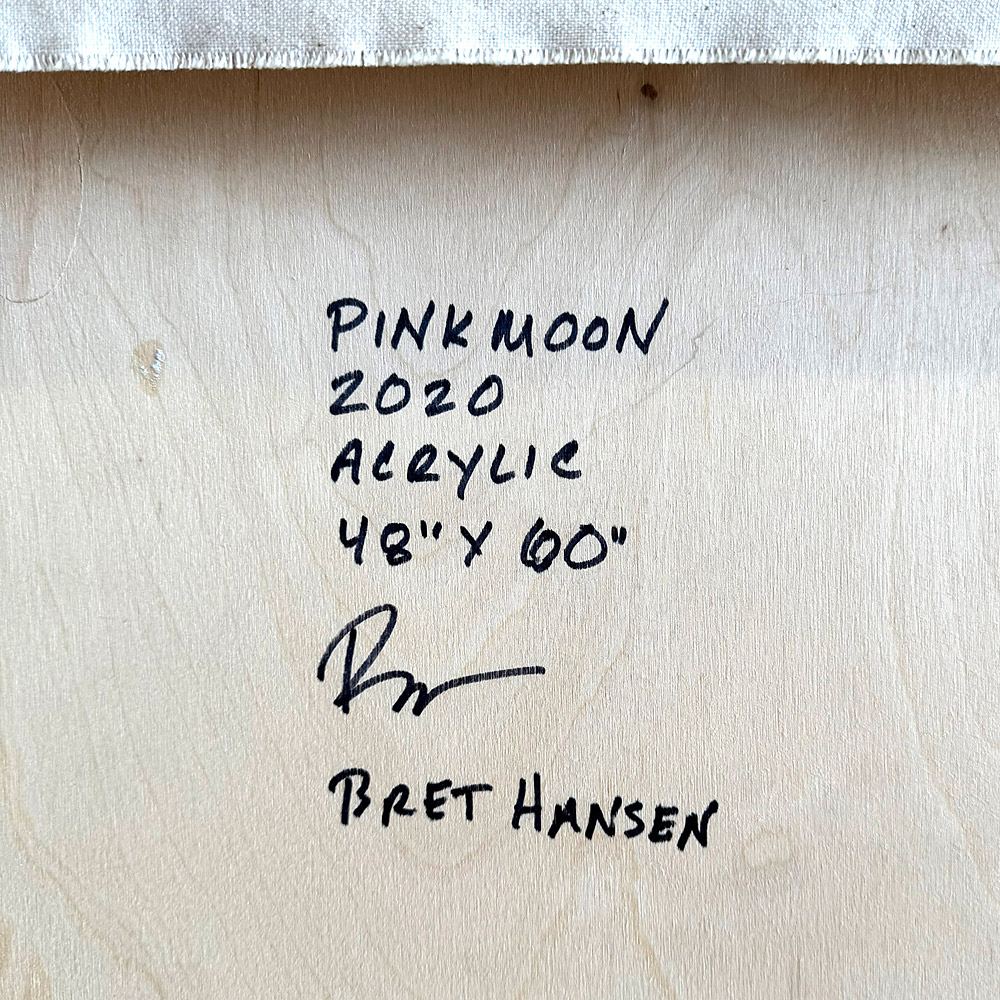Pink Moon details