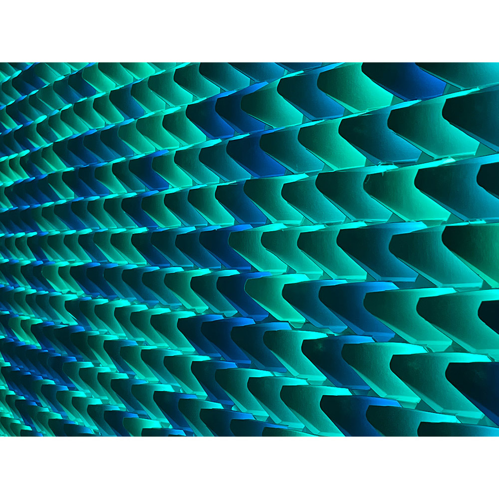 Dragon Scales