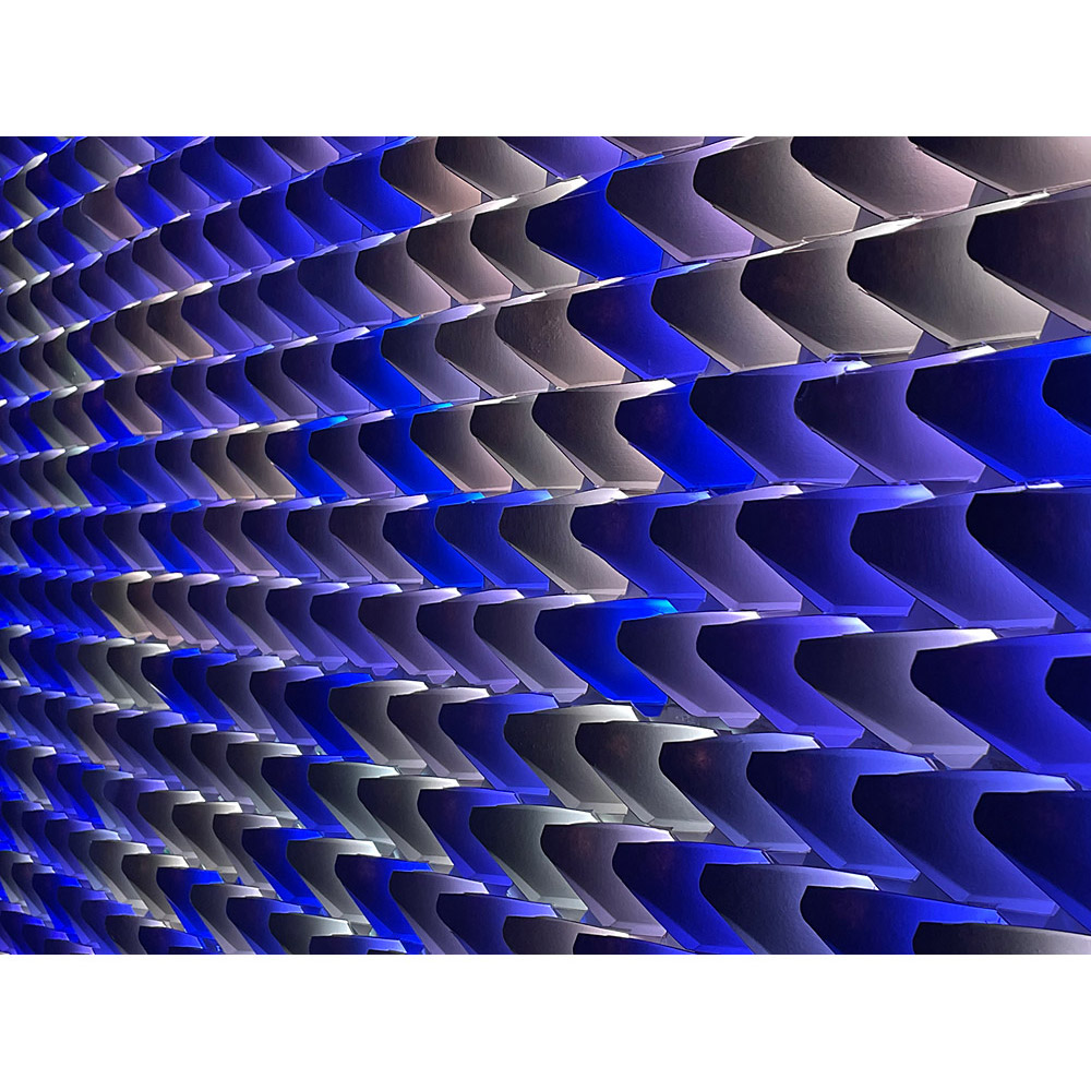 Dragon Scales