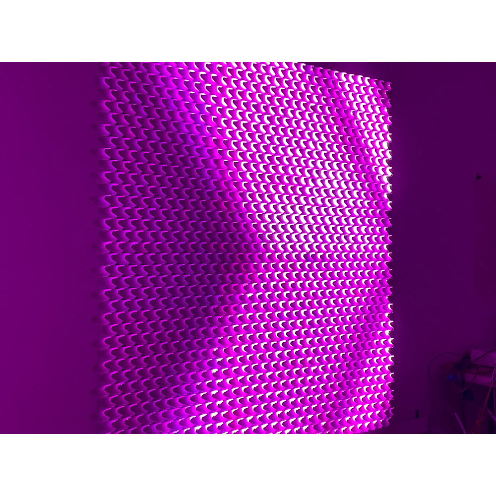 Dragon Scales
