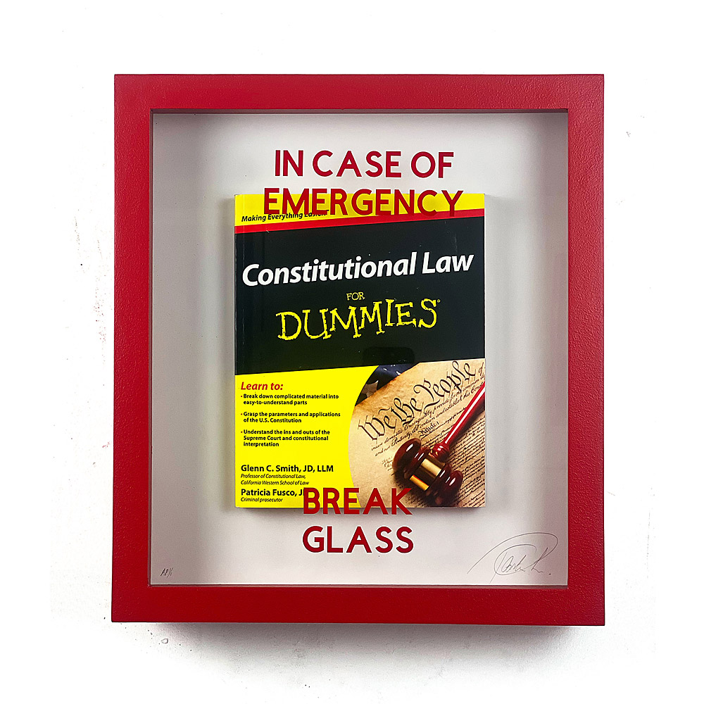 In Case of Emergency Break Glass - Constitutional Law for Dummies