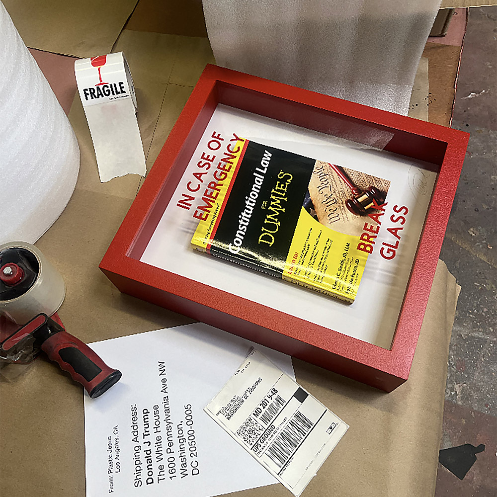 In Case of Emergency Break Glass - Constitutional Law for Dummies