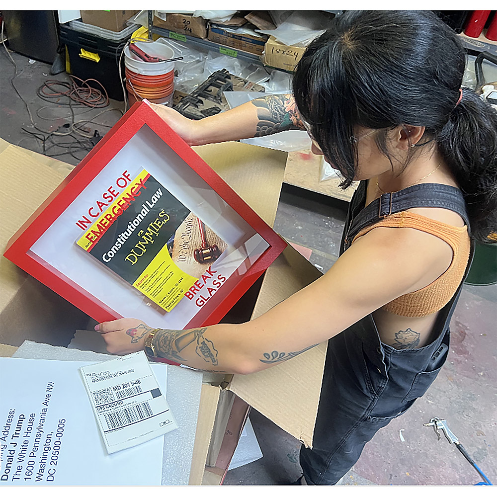 In Case of Emergency Break Glass - Constitutional Law for Dummies
