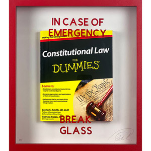 In Case of Emergency Break Glass - Constitutional Law for Dummies (Plastic Jesus)
