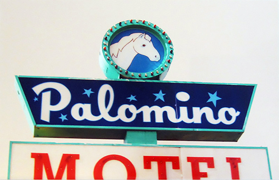 Palomino